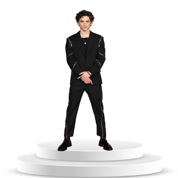 Figura De Timothée Chalamet En Coroplast A Tamaño Real - Imagen 3