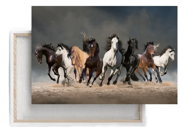 Caballos Salvajes Corriendo Cuadro Decorativo En Canvas