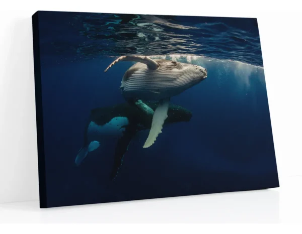 Cuadro Ballena Sumergida En Lienzo Canva Para Sala O Oficina
