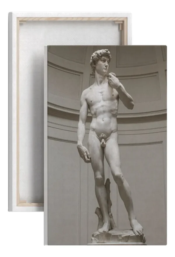 Cuadro Decorativo El David De Miguel Ángel Estatua En Canvas