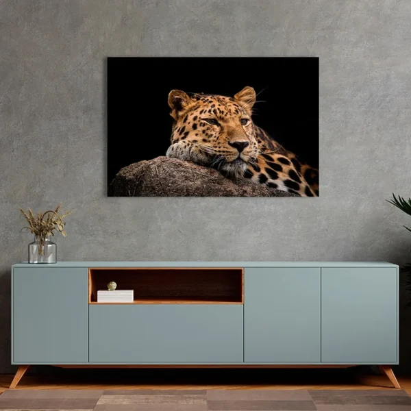 Cuadro Elegante Decorativo Moderno Fotografia Leopardo - Imagen 3