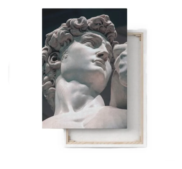 Cuadro Escultura Clásica David De Miguel Ángel Canvas