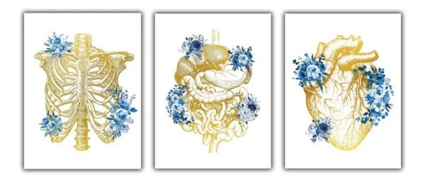 Cuadros Decorativos Consultorio Médico Órganos Con Flores