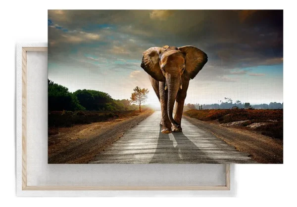 Elefante Caminando Cuadro Moderno En Lienzo Para Sala