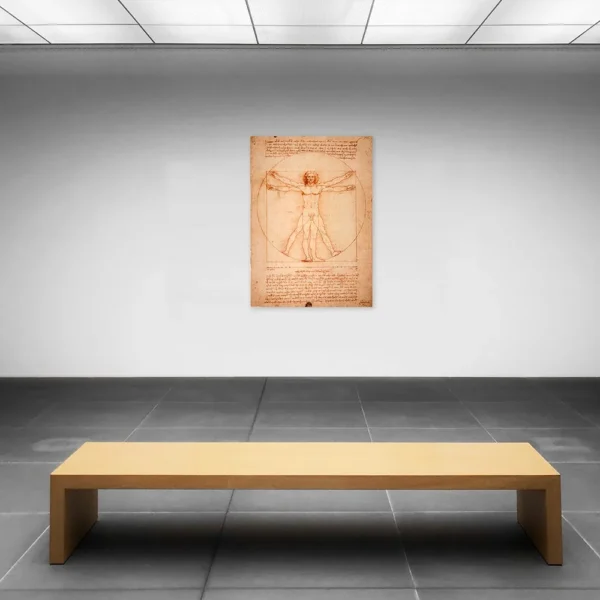 Hombre De Vitruvio Da Vinci Litografía Arte De Cuadro Italia - Imagen 3