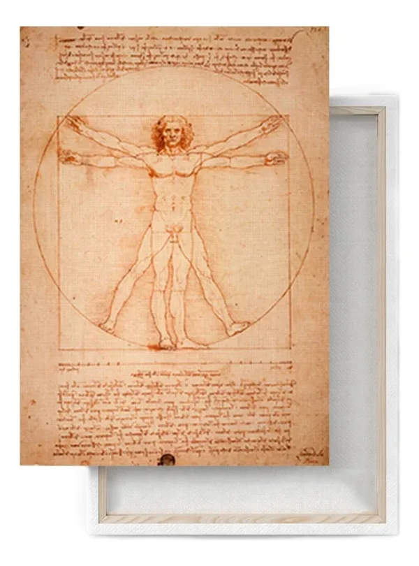 Hombre De Vitruvio Da Vinci Litografía Arte De Cuadro Italia