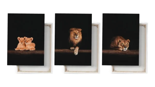 Set 3 Cuadros Elegante Familia De Leones En Canvas